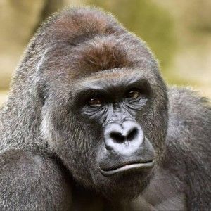 Meet your Posher, Jay